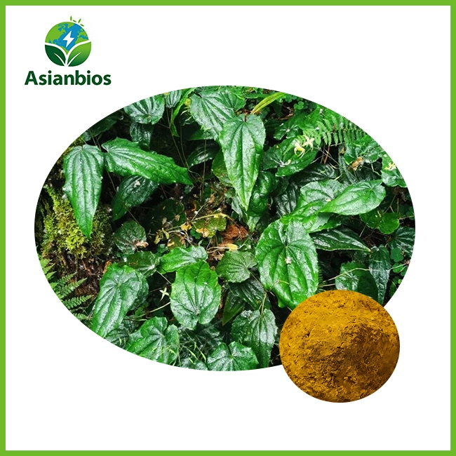 Epimedium Extract Powder